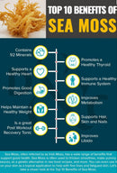 Sea Moss Gel with Chlorophyll 16oz.