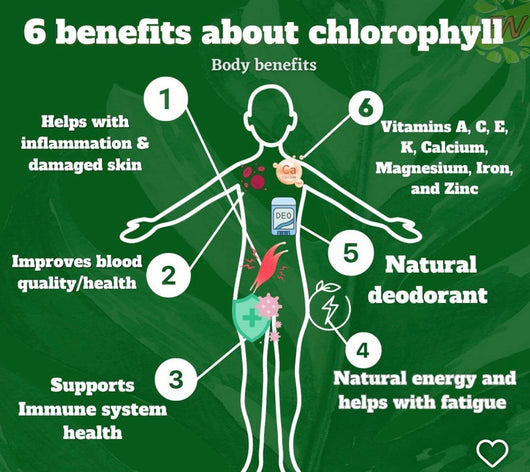 Sea Moss Gel with Chlorophyll 16oz.