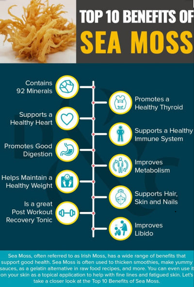 Sea Moss Gel with Chlorophyll 16oz.