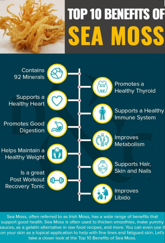 Sea Moss Gel with Chlorophyll 16oz.